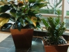 Buckhead Grand lobby planters