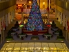 Atlanta plaza Christmas tree