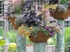 ornamental outdoor floral containers