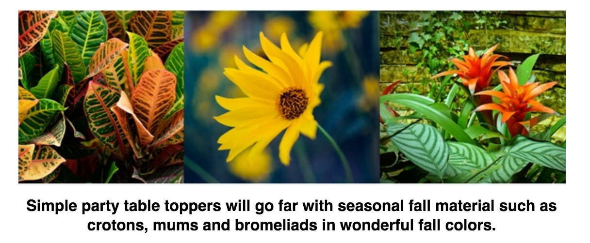 Simple party table toppers will go far with seasonal fall material such as crotons, mums and bromeliads in wonderful fall colors.