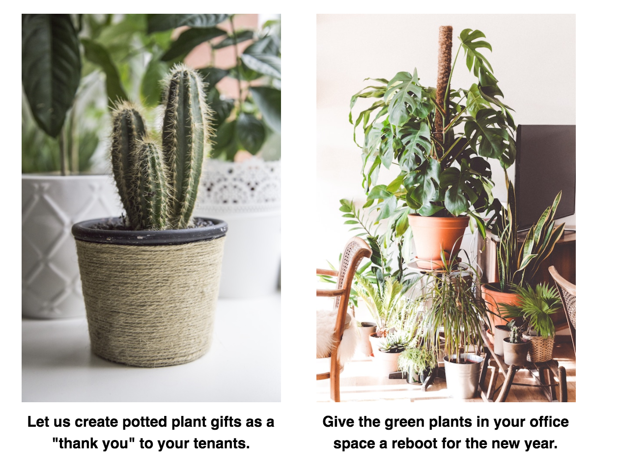 Let us create potted plant gifts as a "thank you" to your tenants. Give the green plants in your office space a reboot for the new year.